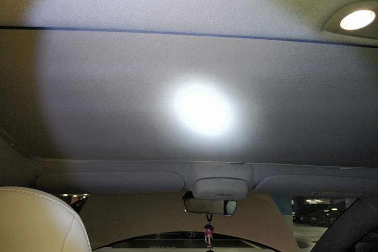 Used Tesla Model 3 2021 Standard Range Rear-Drive Upgraded Version Headliner