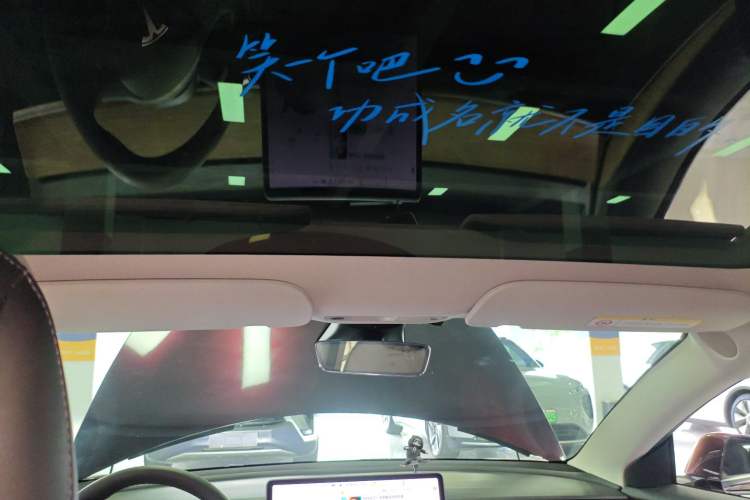 Used Tesla Model 3 2021 Performance High-Performance All-Wheel-Drive Version Headliner