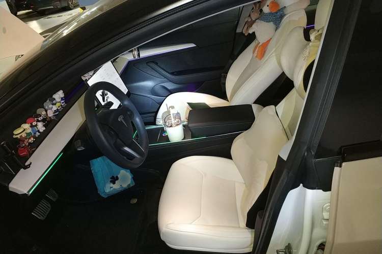 Used Tesla Model 3 2021 Standard Range Rear-Drive Upgraded Version Left Front Seat