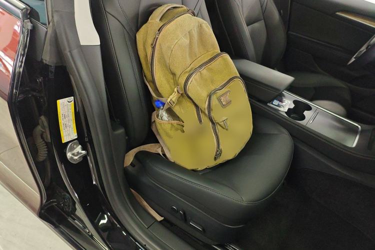Used Tesla Model 3 2021 Performance High-Performance All-Wheel-Drive Version Right Front Seat