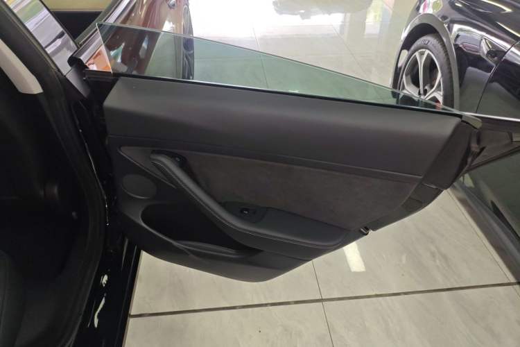 Used Tesla Model 3 2021 Performance High-Performance All-Wheel-Drive Version Right Rear Door Interior