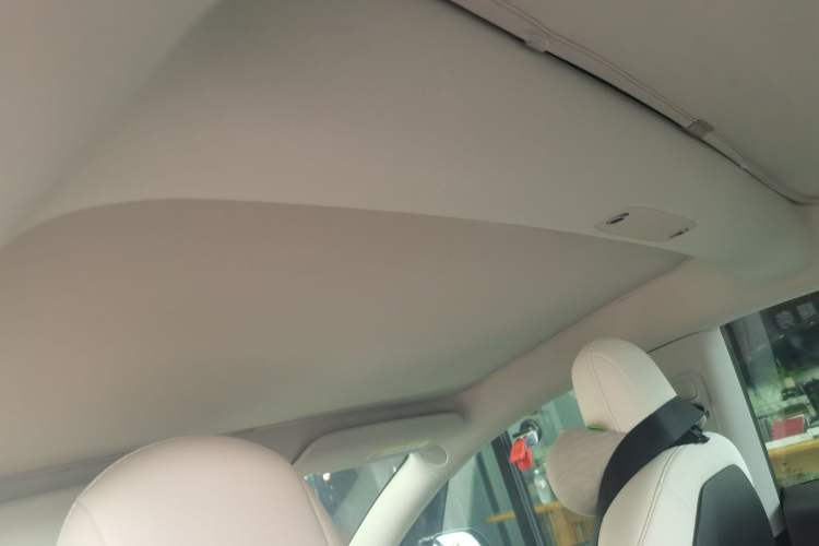 Used Tesla Model 3 2021 Performance High-Performance All-Wheel-Drive Version Headliner