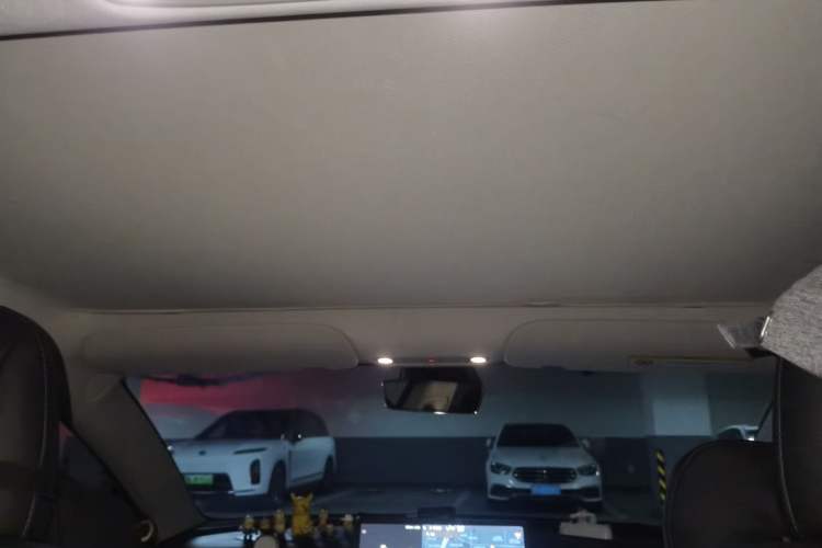 Used Tesla Model 3 2021 Standard Range Rear-Wheel Drive Upgraded Version 3D6 Headliner