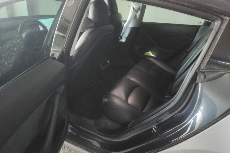 Used Tesla Model 3 2021 Performance High-Performance All-Wheel-Drive Version Left Rear Seat