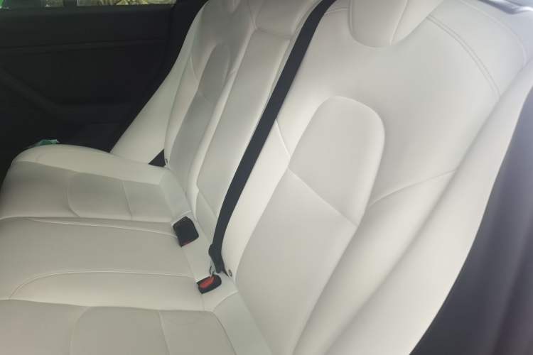 Used Tesla Model 3 2021 Performance High-Performance All-Wheel-Drive Version Left Rear Seat