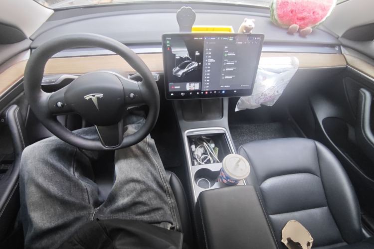 Used Tesla Model 3 2021 Standard Range Rear-Drive Upgraded Version Center Console