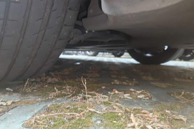Used Tesla Model 3 2021 Standard Range Rear-Wheel Drive Upgraded Version 3D6 Chassis Rear Left