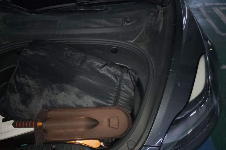 Used Tesla Model 3 2021 Revised Performance Version with All-Wheel Drive 3D1 Engine Bay Left