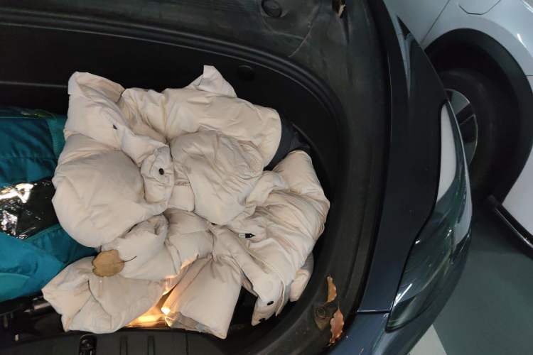 Used Tesla Model 3 2021 Performance High-Performance All-Wheel-Drive Version Engine Bay Left