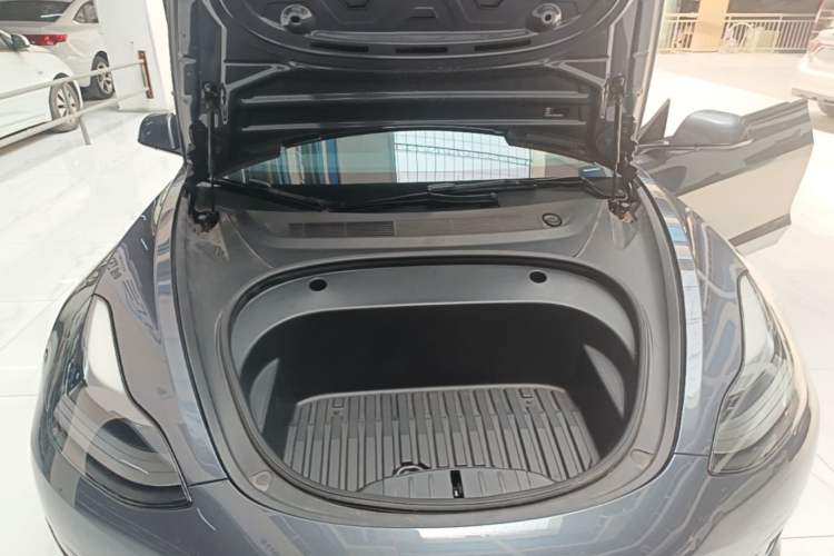 Used Tesla Model 3 2021 Standard Range Rear-Wheel Drive Upgraded Version 3D6 Engine Bay