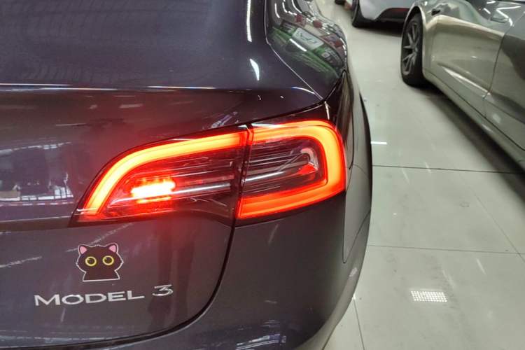Used Tesla Model 3 2021 Standard Range Rear-Wheel Drive Upgraded Version 3D6 Exterior 3
