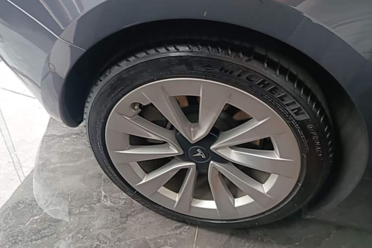 Used Tesla Model 3 2021 Standard Range Rear-Drive Upgraded Version Exterior 5