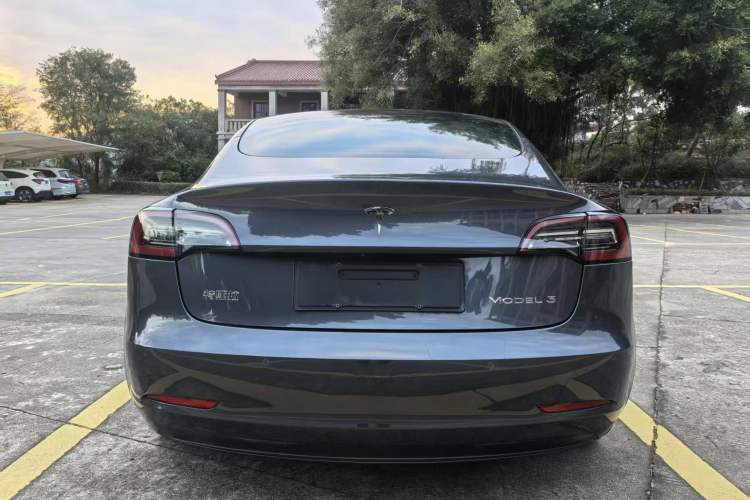 Used Tesla Model 3 2021 Standard Range Rear-Drive Upgraded Version Exterior 6