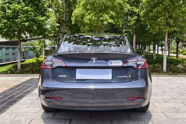 Used Tesla Model 3 2021 Revised Version Standard Range Rear-Wheel Drive Upgraded Edition 3D1 Exterior 9