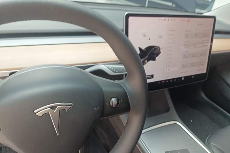 Used Tesla Model 3 2021 Standard Range Rear-Wheel Drive Upgraded Version 3D6 Gear Lever