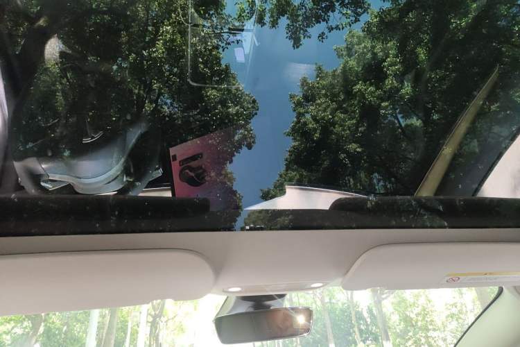Used Tesla Model 3 2021 Revised Version II – Performance High-Performance All-Wheel-Drive Edition Headliner