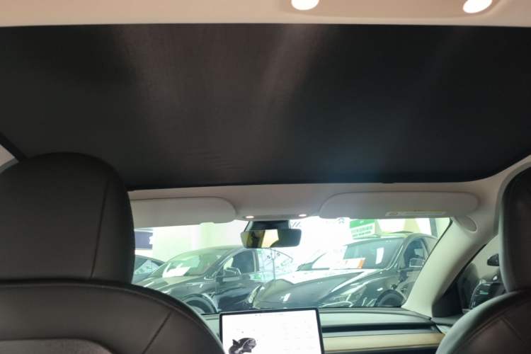 Used Tesla Model 3 2021 Revised Version Standard Range Rear-Wheel Drive Upgraded Edition 3D1 Headliner