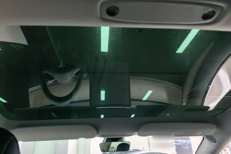 Used Tesla Model 3 2021 Performance High-Performance All-Wheel-Drive Version Headliner