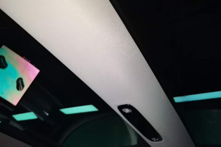 Used Tesla Model 3 2021 Standard Range Rear-Wheel Drive Upgraded Version 3D6 Headliner