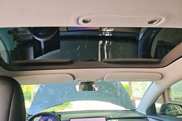 Used Tesla Model 3 2021 Performance High-Performance All-Wheel-Drive Version Headliner