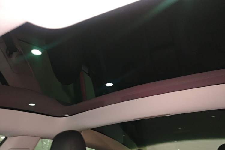 Used Tesla Model 3 2021 Standard Range Rear-Wheel Drive Upgraded Version 3D6 Headliner