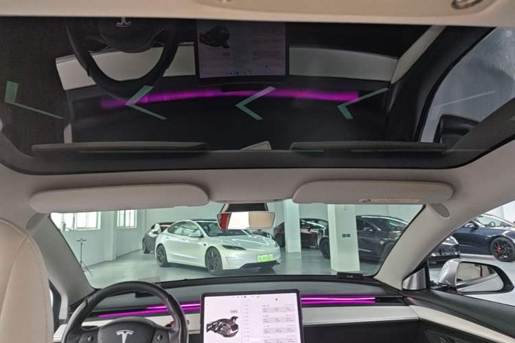 Used Tesla Model 3 2021 Performance High-Performance All-Wheel-Drive Version Headliner