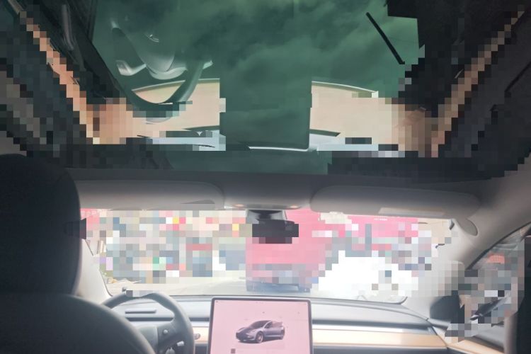 Used Tesla Model 3 2021 Revised Version II – Performance High-Performance All-Wheel-Drive Edition Headliner