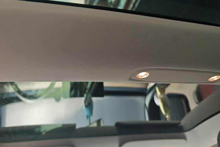Used Tesla Model 3 2021 Standard Range Rear-Drive Upgraded Version Headliner