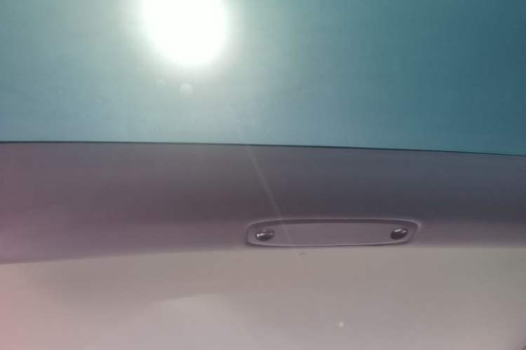 Used Tesla Model 3 2021 Performance High-Performance All-Wheel-Drive Version 3D6 Headliner