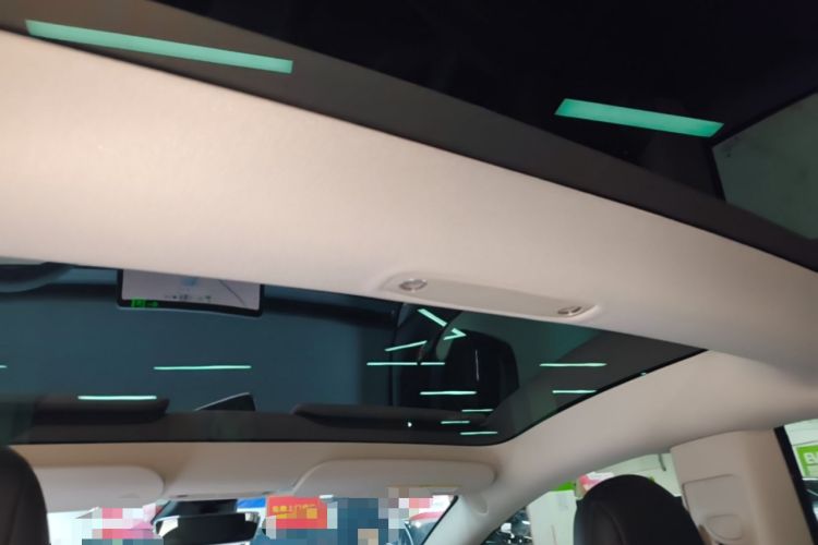 Used Tesla Model 3 2021 Standard Range Rear-Wheel Drive Upgraded Version 3D6 Headliner