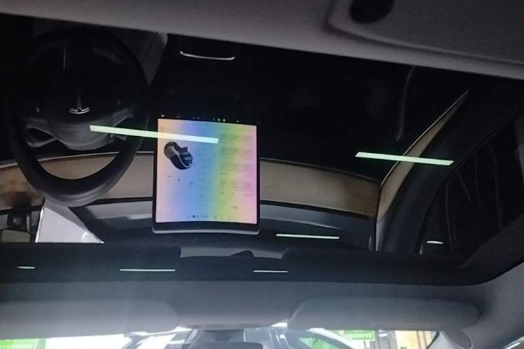 Used Tesla Model 3 2021 Standard Range Rear-Drive Upgraded Version Headliner