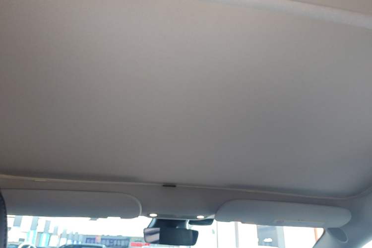 Used Tesla Model 3 2021 Standard Range Rear-Drive Upgraded Version Headliner