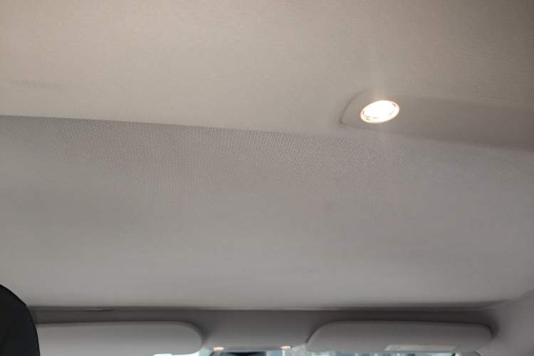 Used Tesla Model 3 2021 Standard Range Rear-Wheel Drive Upgraded Version 3D6 Headliner