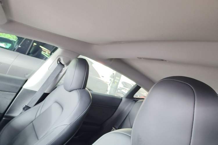 Used Tesla Model 3 2021 Performance High-Performance All-Wheel-Drive Version Headliner
