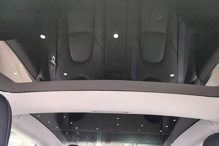 Used Tesla Model 3 2021 Standard Range Rear-Drive Upgraded Version Headliner