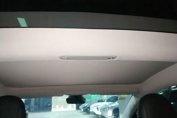 Used Tesla Model 3 2021 Standard Range Rear-Wheel Drive Upgraded Version 3D6 Headliner