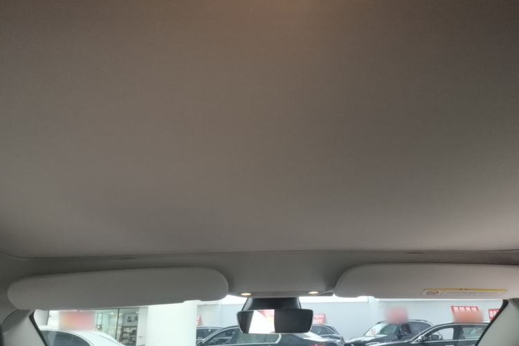 Used Tesla Model 3 2021 Standard Range Rear-Wheel Drive Upgraded Version 3D6 Headliner