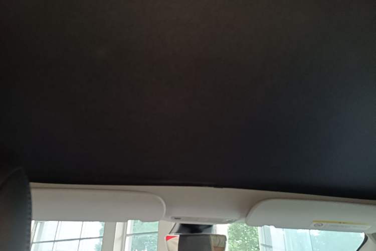 Used Tesla Model 3 2021 Standard Range Rear-Wheel Drive Upgraded Version 3D6 Headliner