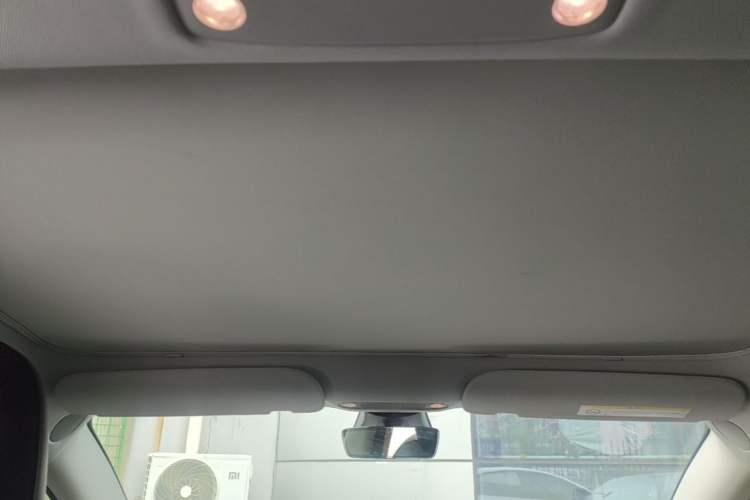 Used Tesla Model 3 2021 Revised Version Standard Range Rear-Wheel Drive Upgraded Edition 3D1 Headliner
