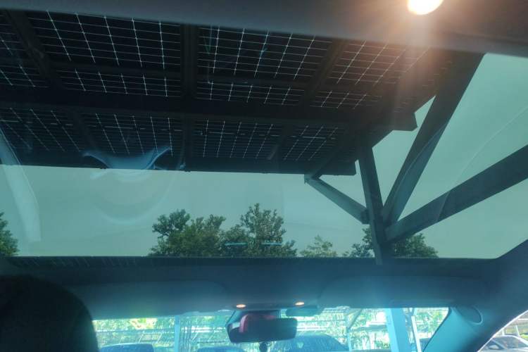Used Tesla Model 3 2021 Performance High-Performance All-Wheel-Drive Version 3D6 Headliner
