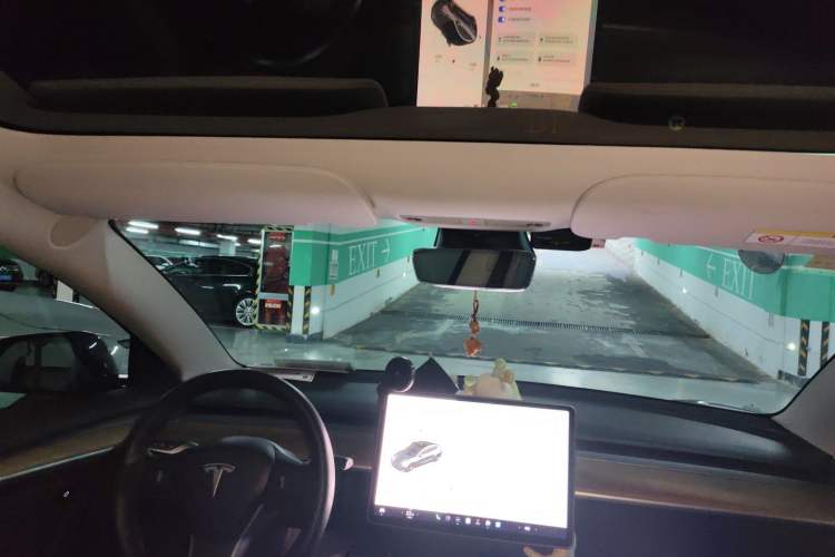 Used Tesla Model 3 2021 Performance High-Performance All-Wheel-Drive Version Headliner