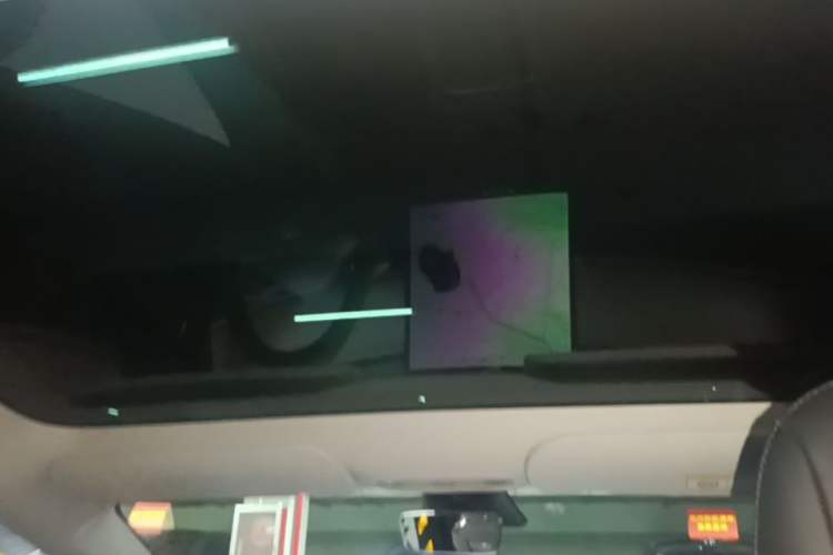 Used Tesla Model 3 2021 Standard Range Rear-Drive Upgraded Version Headliner
