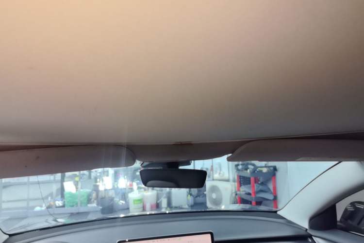 Used Tesla Model 3 2021 Standard Range Rear-Wheel Drive Upgraded Version 3D6 Headliner
