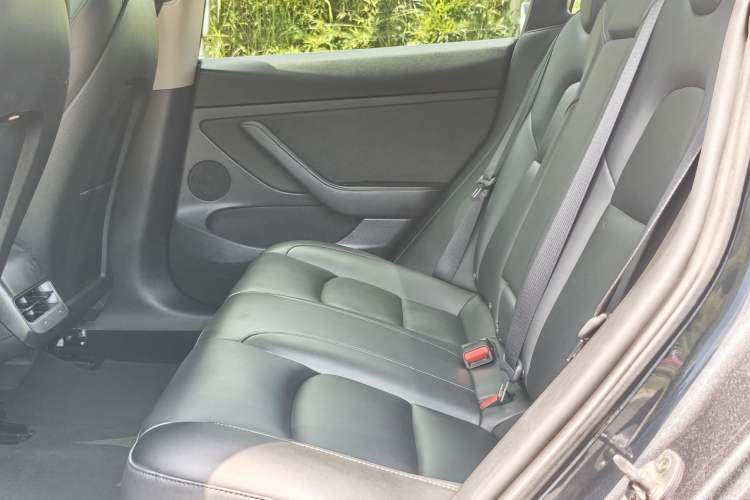 Used Tesla Model 3 2021 Standard Range Rear-Wheel Drive Upgraded Version 3D6 Interior 3