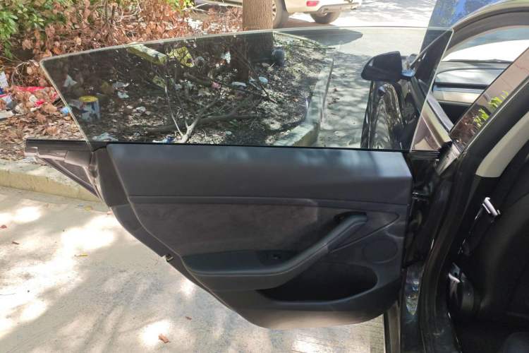 Used Tesla Model 3 2021 Revised Performance Version with All-Wheel Drive 3D1 Left Rear Door Interior
