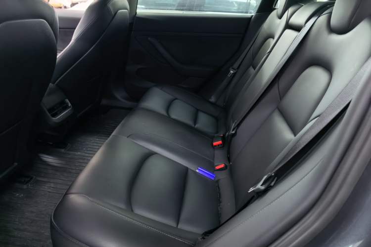 Used Tesla Model 3 2021 Performance High-Performance All-Wheel-Drive Version Left Rear Seat