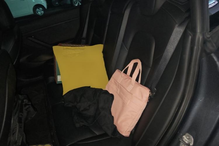 Used Tesla Model 3 2021 Revised Performance Version with All-Wheel Drive 3D1 Left Rear Seat