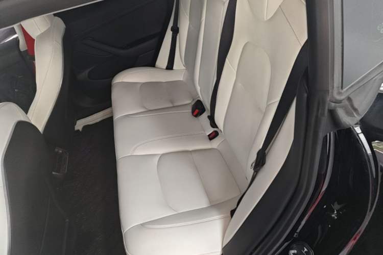 Used Tesla Model 3 2021 Performance High-Performance All-Wheel-Drive Version Left Rear Seat