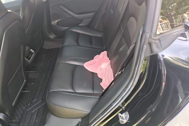 Used Tesla Model 3 2021 Standard Range Rear-Drive Upgraded Version Left Rear Seat