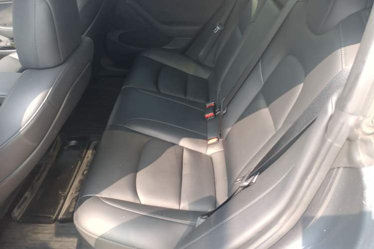 Used Tesla Model 3 2021 Performance High-Performance All-Wheel-Drive Version Left Rear Seat